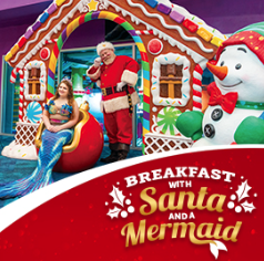 Ripley's Aquarium Santa Breakfast